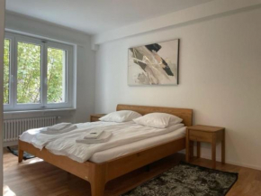 Sunny and very central 2BR flat - Sky8